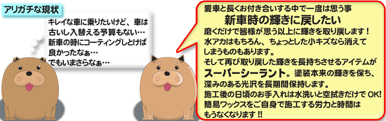 新車の輝きを取り戻します！